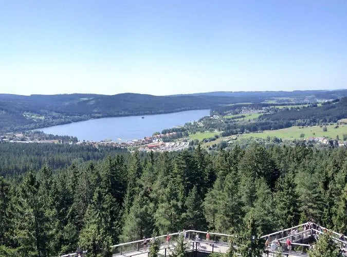 Laura, Frymburk
